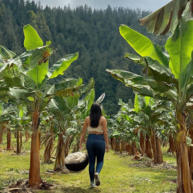 Mujer entre plataneras celebrando el cumpleaños de la madre tierra